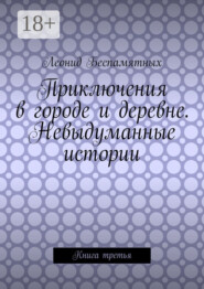 Приключения в городе и деревне. Невыдуманные истории. Книга третья