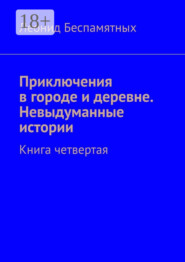 Приключения в городе и деревне. Невыдуманные истории. Книга четвертая