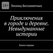Приключения в городе и деревне. Невыдуманные истории. Книга первая