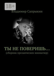 Ты не поверишь… Прозаические миниатюры