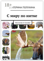 С миру по нитке. Рассказы и сказки