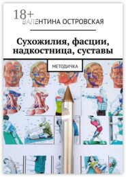 Сухожилия, фасции, надкостница, суставы. Методичка