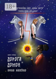 Книга вторая. Дорога домой. Фантастическая сага «Воины света». Трилогия первая «Путь домой»