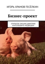 Бизнес-проект. Открытое письмо Дмитрию Анатольевичу Медведеву