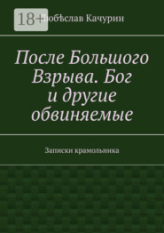 После Большого Взрыва. Бог и другие обвиняемые. Записки крамольника