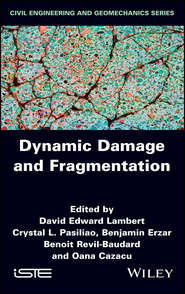 Dynamic Damage and Fragmentation