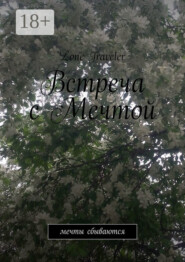 Встреча с мечтой. Мечты сбываются