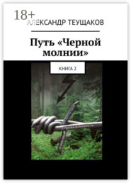 Путь «Черной молнии». Книга 2