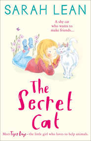 The Secret Cat