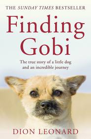 Finding Gobi