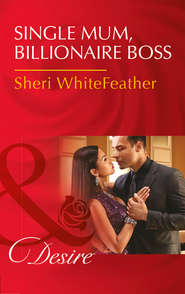 Single Mom, Billionaire Boss