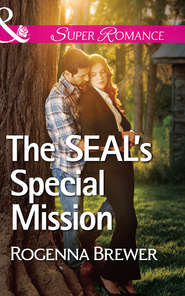 The SEAL's Special Mission