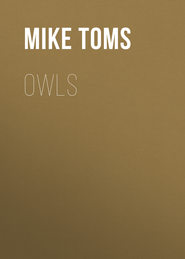 Owls