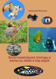 Фотографирование природы и фауны на земле и под водой