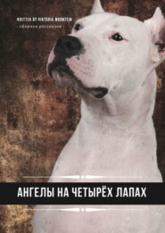 Ангелы на четырёх лапах. Сборник рассказов