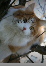 Степка