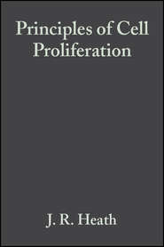 Principles of Cell Proliferation