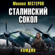 Сталинский сокол. Комдив