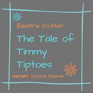 The Tale of Timmy Tiptoes