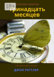 Тринадцать месяцев