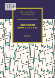Дневники провинциала. Часть I