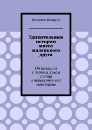 Удивительные истории моего маленького друга. Он появился с первым лучом солнца и перевернул всю мою жизнь
