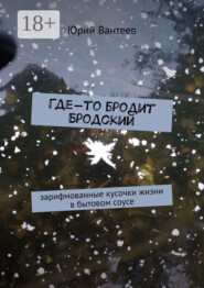 Где-то бродит Бродский. Зарифмованные кусочки жизни в бытовом соусе