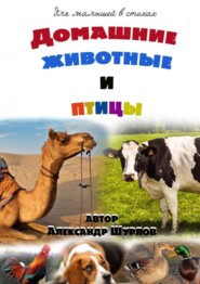 Домашние животные и птицы