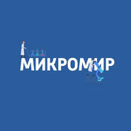 Вирус иммунодефицита человека (ВИЧ)
