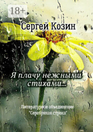 Я плачу нежными стихами… Литературное объединение «Серебряная строка»