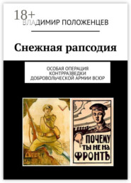 Снежная рапсодия. Особая операция контрразведки Добровольческой армии ВСЮР