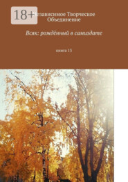 Всяк: рождённый в самиздате. Книга 13