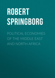 Political Economies of the Middle East and North Africa