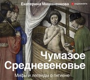 Чумазое Средневековье. Мифы и легенды о гигиене