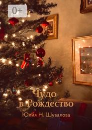 Чудо в Рождество