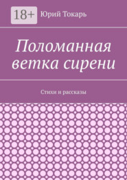 Поломанная ветка сирени. Стихи и рассказы