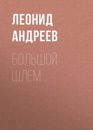 Большой шлем