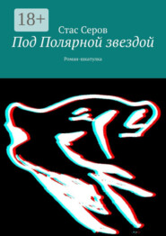 Под Полярной звездой. Роман-шкатулка