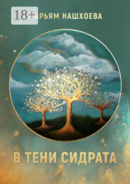В тени Сидрата. Сборник рассказов