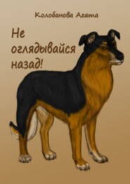 Не оглядывайся назад!