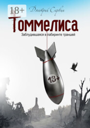 Томмелиса. Заблудившаяся в лабиринте траншей