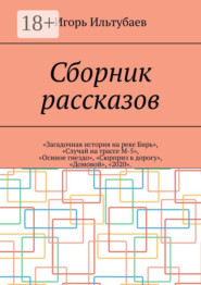 Сборник рассказов. «Загадочная история на реке Бирь», «Случай на трассе М-5», «Осиное гнездо», «Сюрприз в дорогу», «Домовой», «2020»