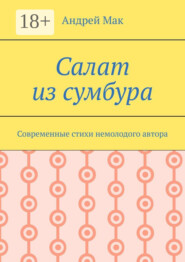 Салат из сумбура. Современные стихи немолодого автора