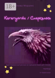 Kararıyordu / Смеркалось. Адаптированный рассказ на турецком языке для чтения, перевода и пересказа