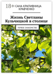 Жизнь Светланы Кульчицкой в столице. Первое знакомство
