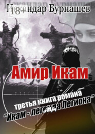 Амир Икам. Третья книга романа «Икам – легенда легиона»