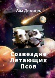 Созвездие Летающих Псов