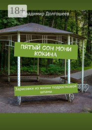 Пятый сон Мони Кокина. Зарисовки из жизни подростковой шпаны