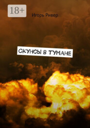 Скунсы в тумане