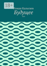 Будущее. 3029